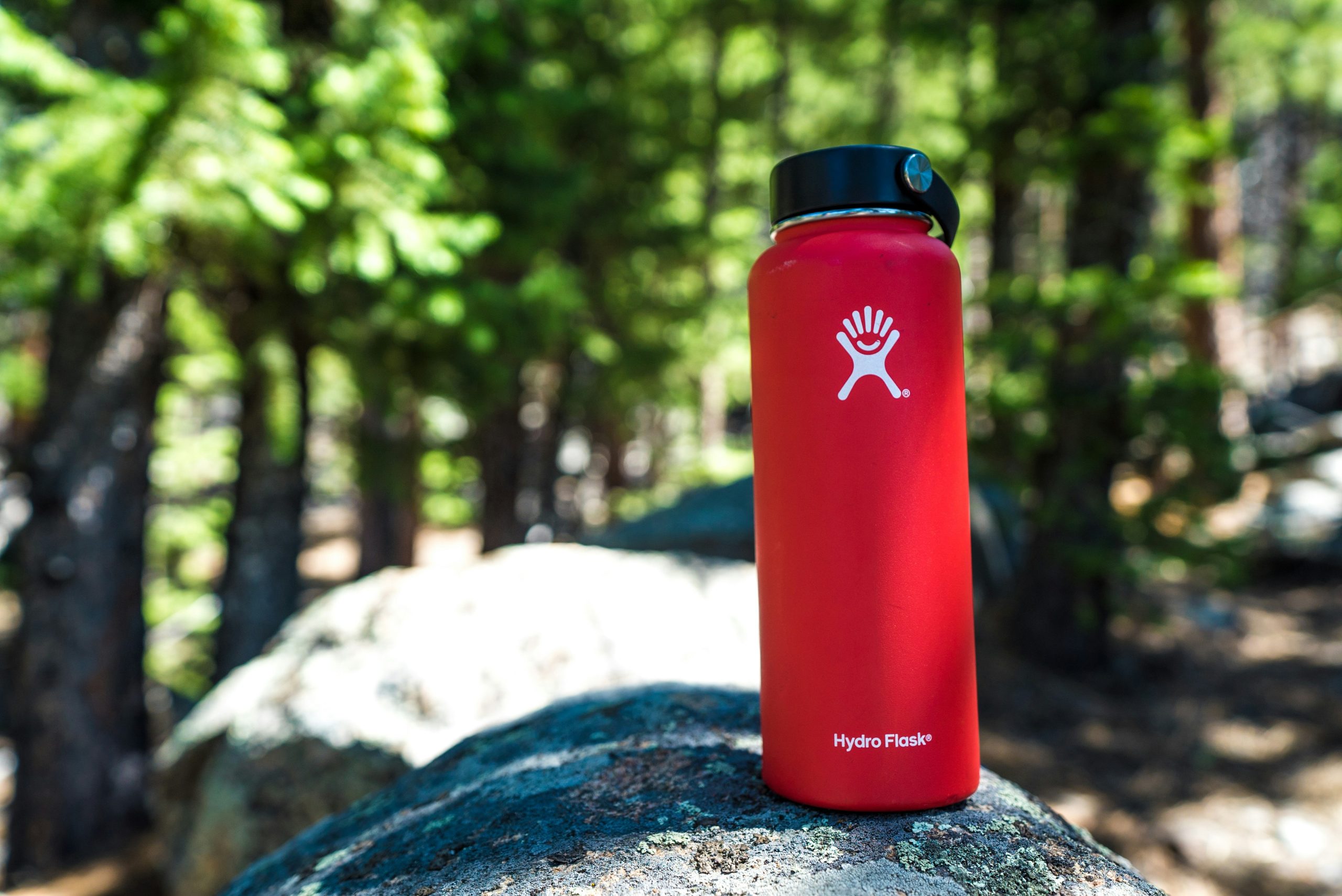 6 Essential Items to Pack for Gorilla Trek