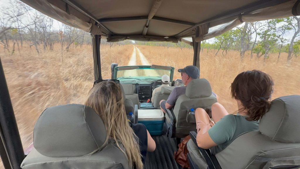What is a Safari