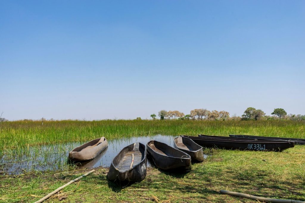 What is the best time to go on an African safari?