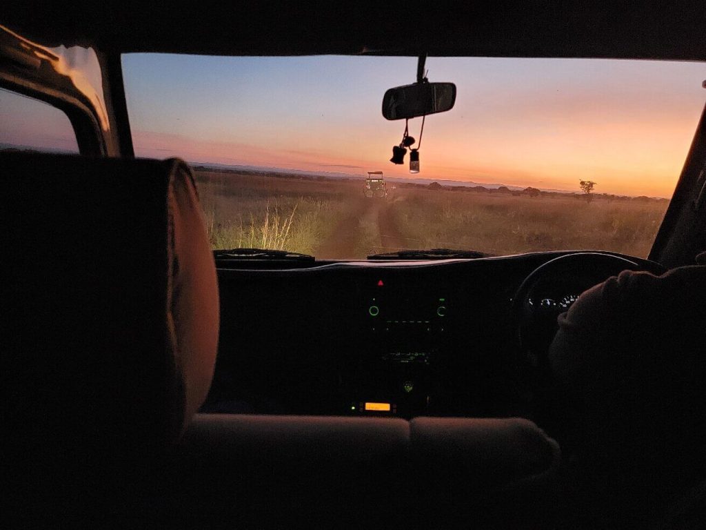 What Questions to Ask When Booking a Safari?