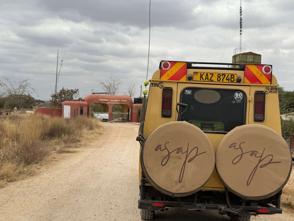 When is the Best Time to Visit Kenya?