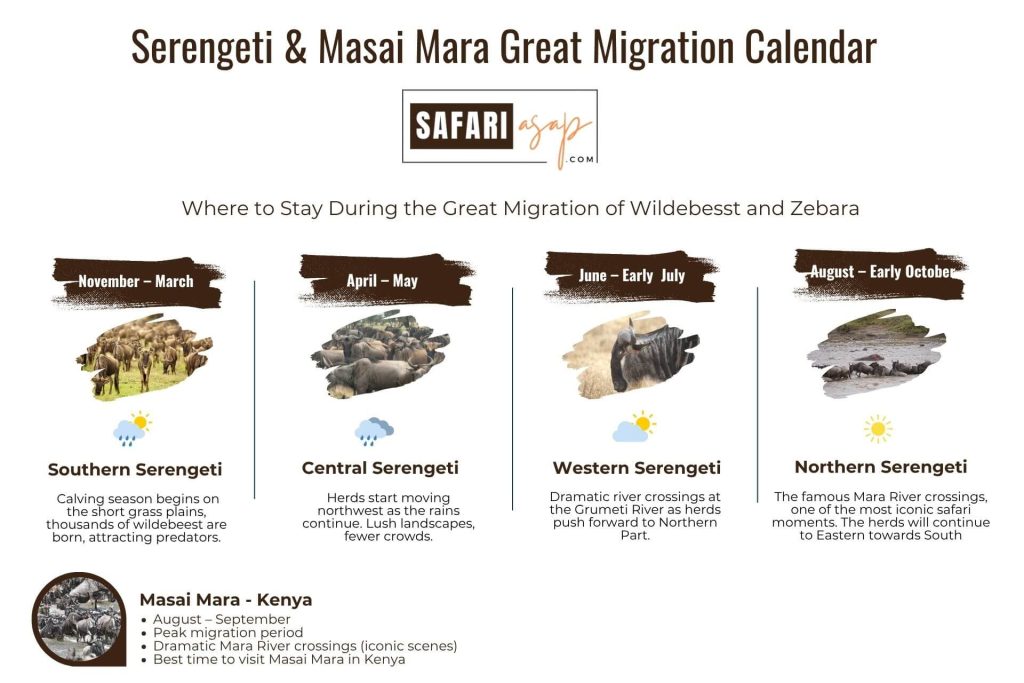 Serengeti Wildebeest Migration Calendar