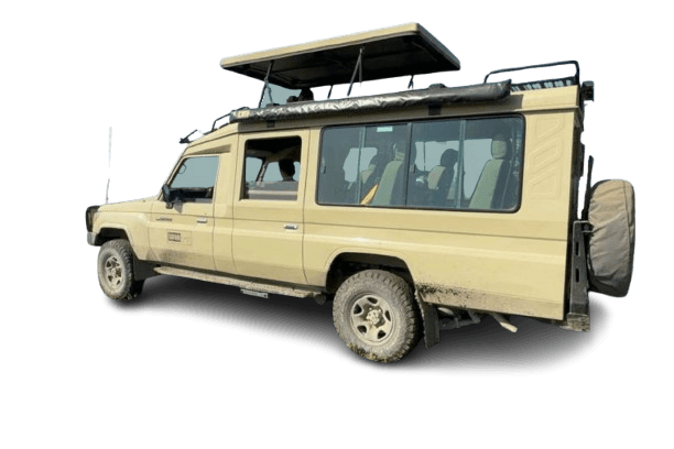 Safari ASAP
