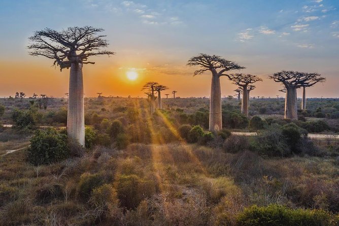 African Countries and Their Geography Explained