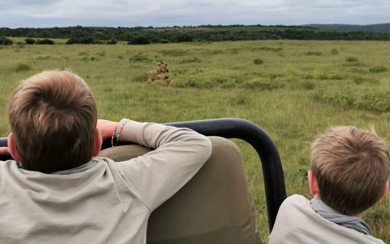 African Safari Clothing for Kids