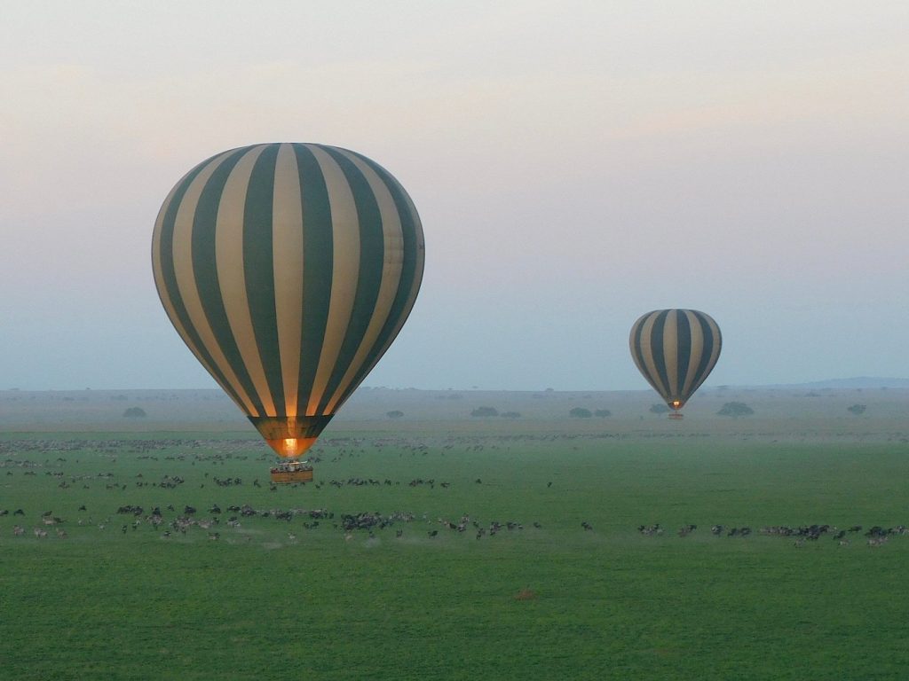 6 Days Safari with Serengeti, Ngorongoro, Manyara NP and Tarangire NP