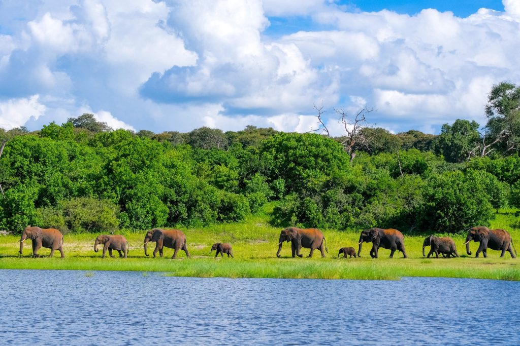 Which African country is best for a Family Safari