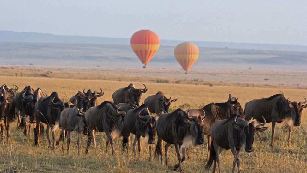 6 Days Safari with Serengeti, Ngorongoro, Manyara NP and Tarangire NP