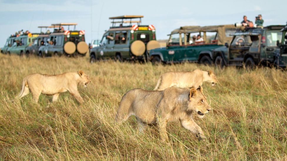 What is so special about Masai Mara?