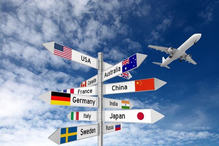 When Should You Use a Tour Operator to Plan Your Trip to Africa