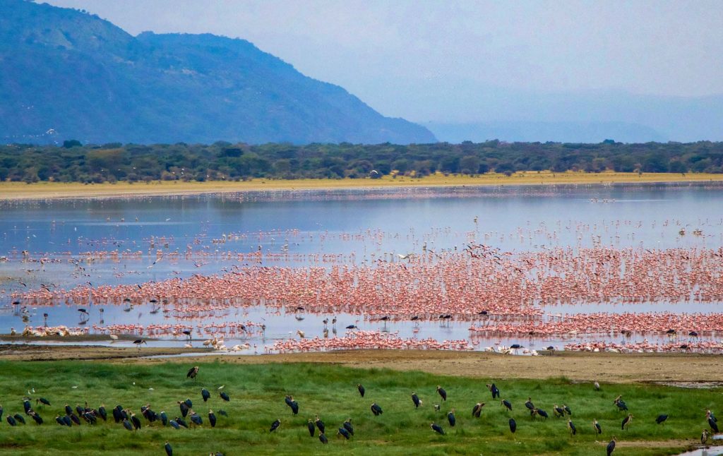 6 Days Safari with Serengeti, Ngorongoro, Manyara NP and Tarangire NP