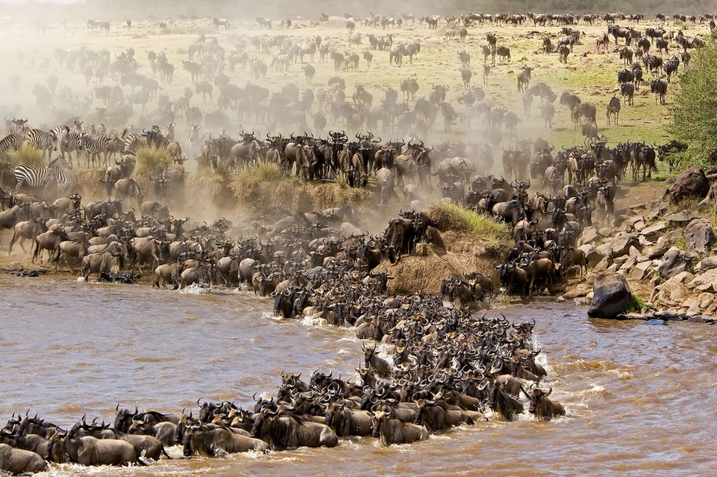 Where is the best place in Africa to see lions