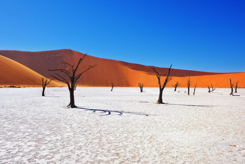 Which African country is best for a Family Safari