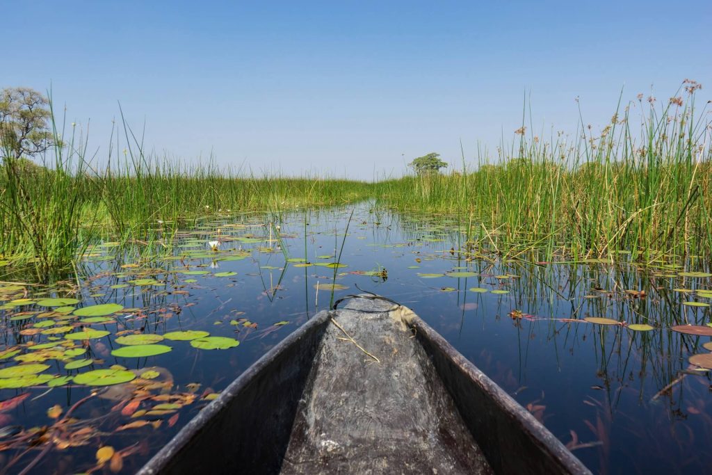 Okavango Delta, Botswana