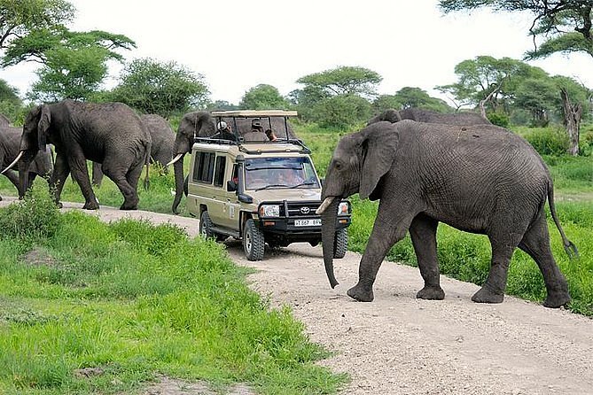 6 Days Safari with Serengeti, Ngorongoro, Manyara NP and Tarangire NP