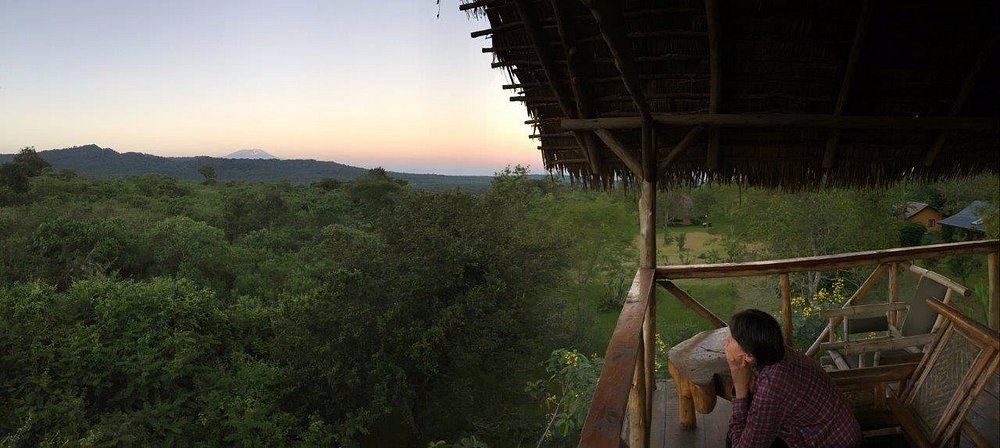 Tanzania Safari 4 days/3 nights