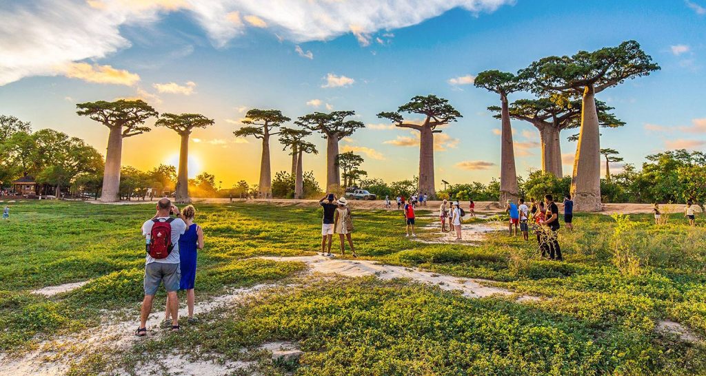 What are the Big Five Destinations of Africa?