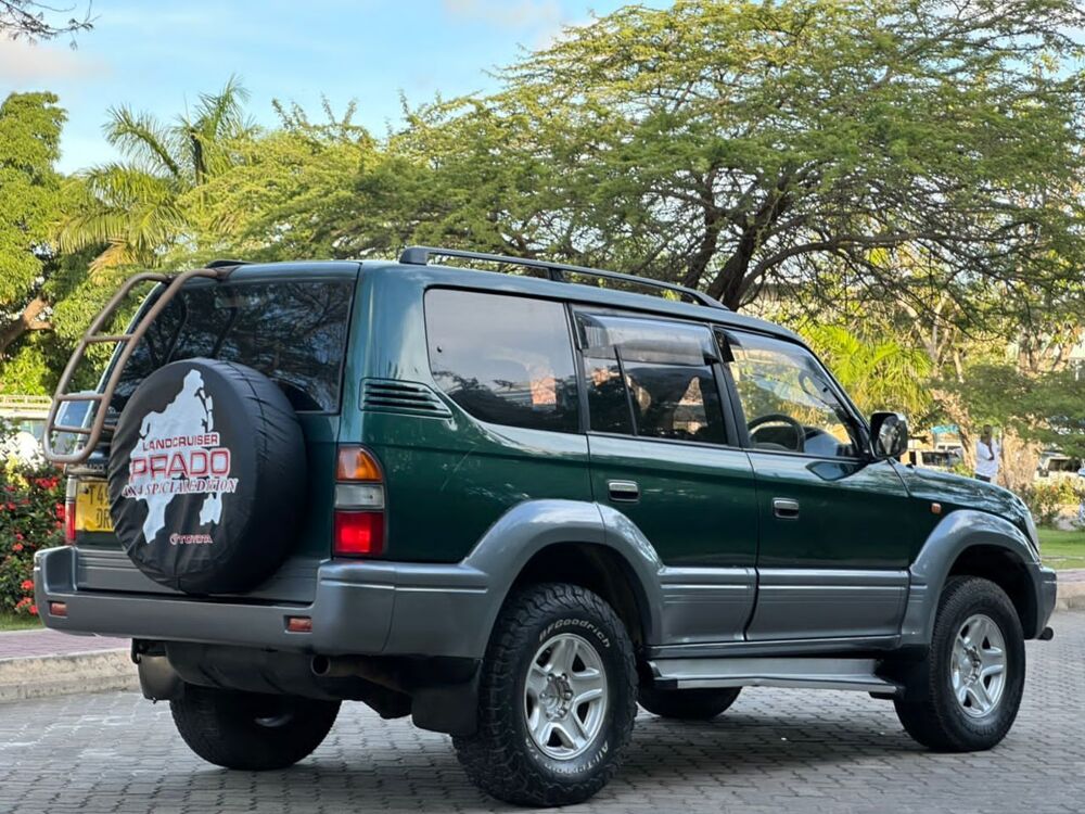 Tanzania Self-Drive Safari Guide