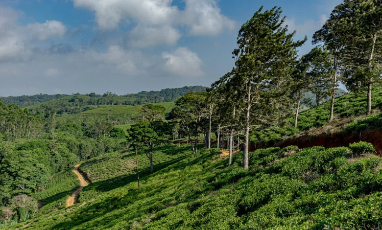 Top Adventure Destinations in Tanzania for Thrill Seekers