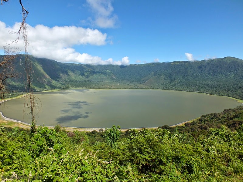 Tanzania's Safari Treasures: Must-Visit National Parks"