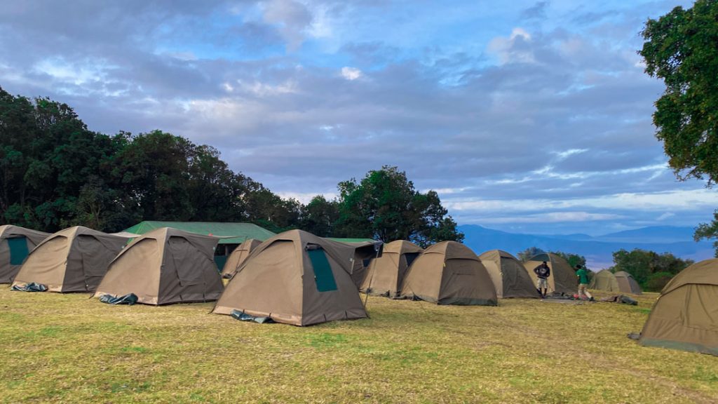 Camping Safari or Lodge Safari: Which One Is Right for You?