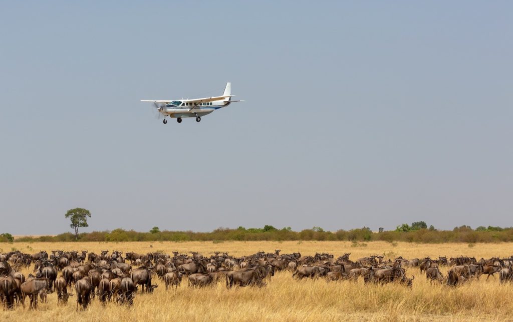 "Tanzania