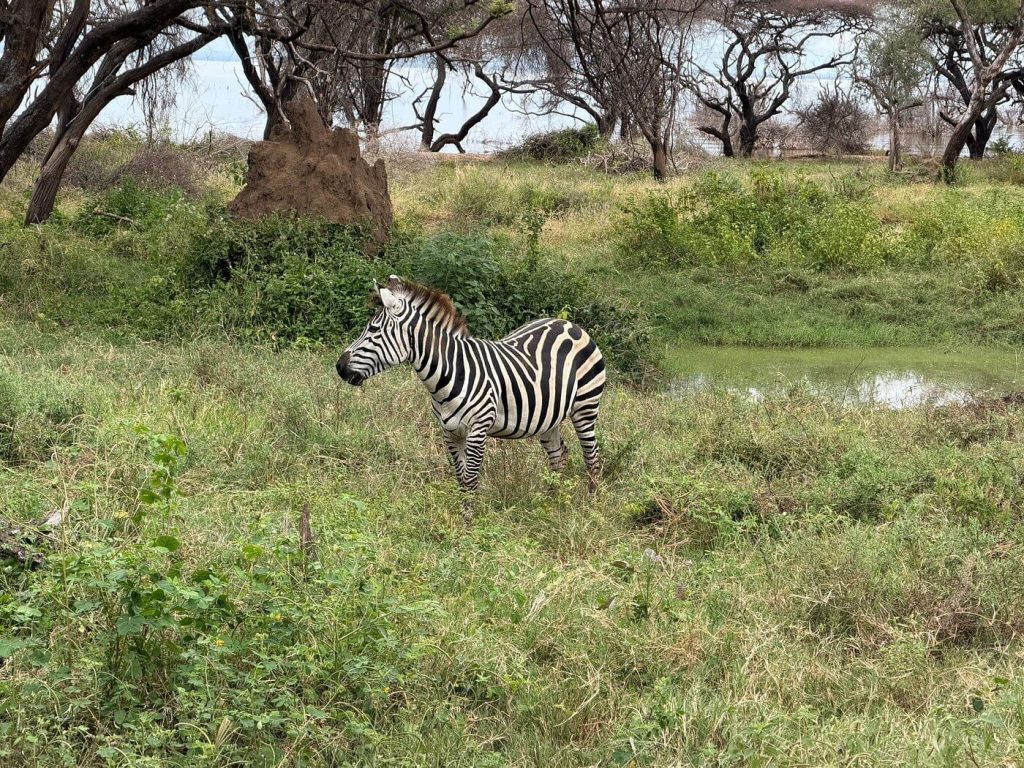Top Adventure Destinations in Tanzania for Thrill Seekers