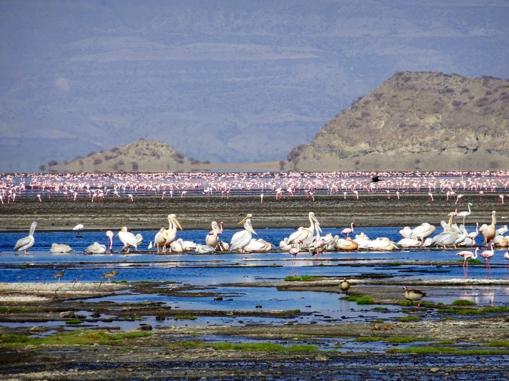 Top Adventure Destinations in Tanzania for Thrill Seekers