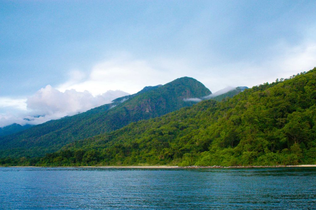 Tanzania's Safari Treasures: Must-Visit National Parks"