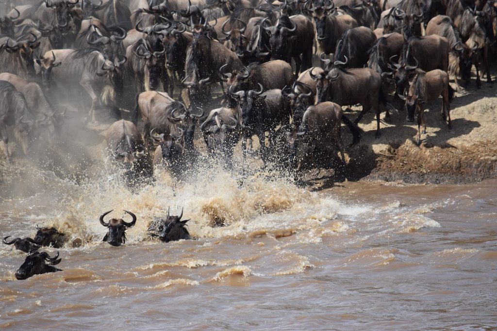 Top Adventure Destinations in Tanzania for Thrill Seekers