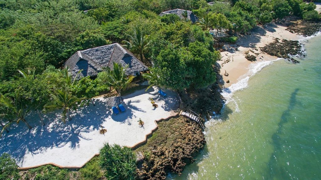 Tanzania's Safari Treasures: Must-Visit National Parks"
