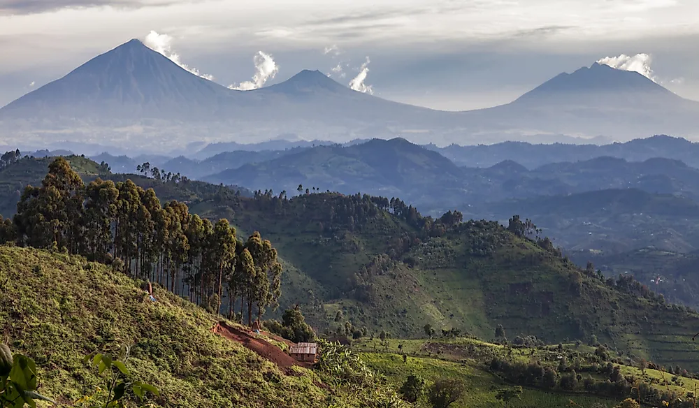 Your Guide to Gorilla Safaris in Rwanda, Uganda, and the DRC