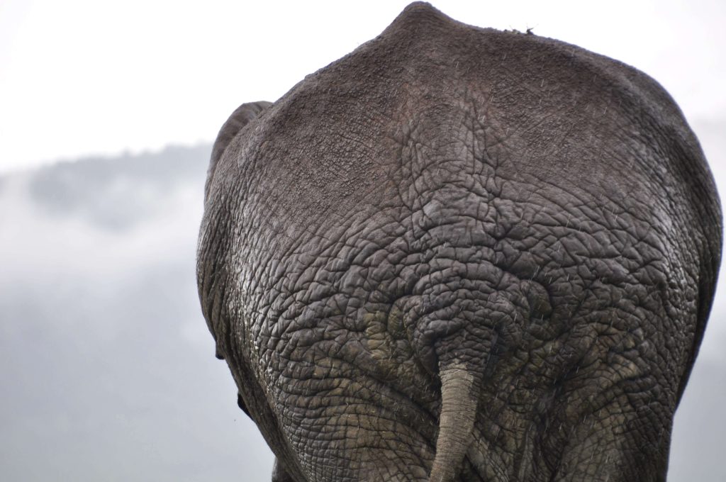 Top Adventure Destinations in Tanzania for Thrill Seekers