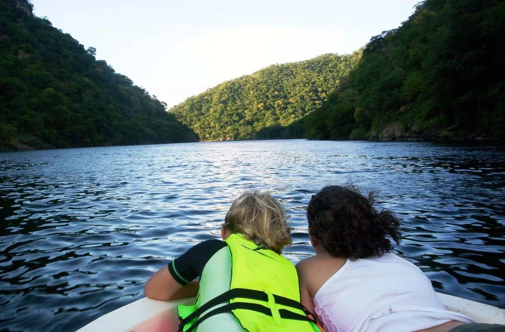 Top 5 African Safaris