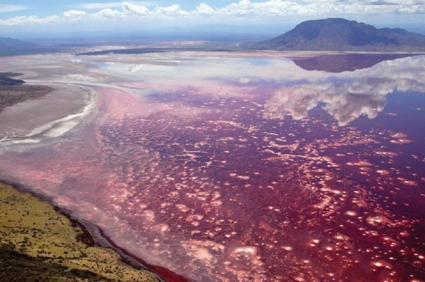 What Are the Most Beautiful Lakes to Visit During a Tanzania Safari?