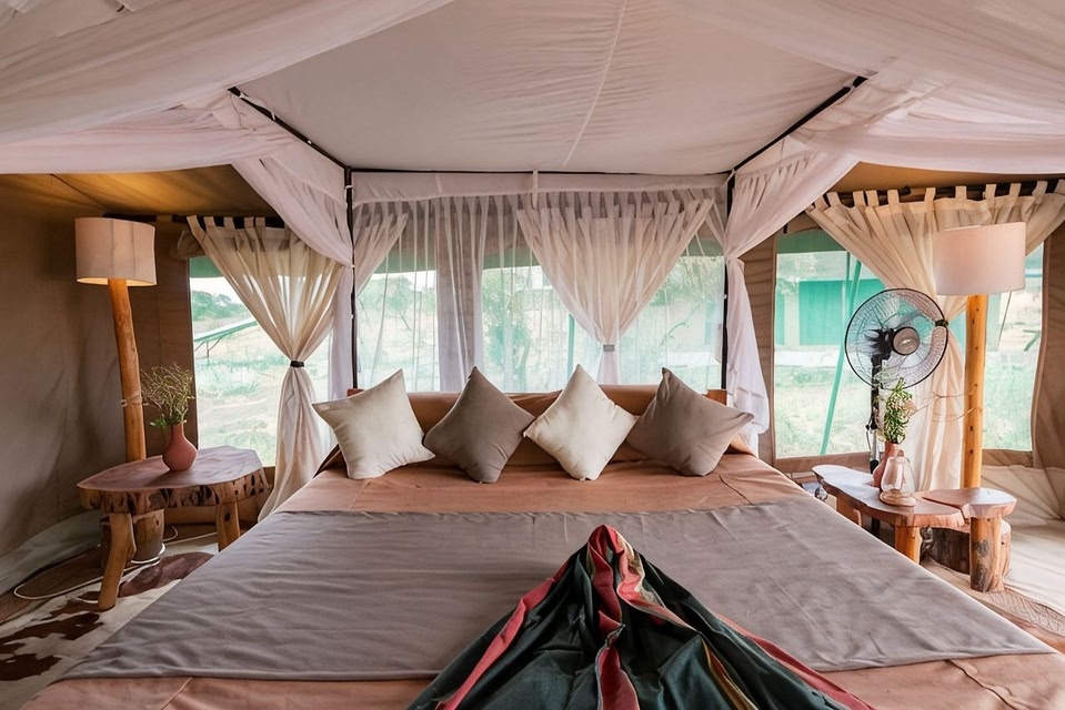 Why Should You Visit Amboseli National Park? A Complete Safari Guide