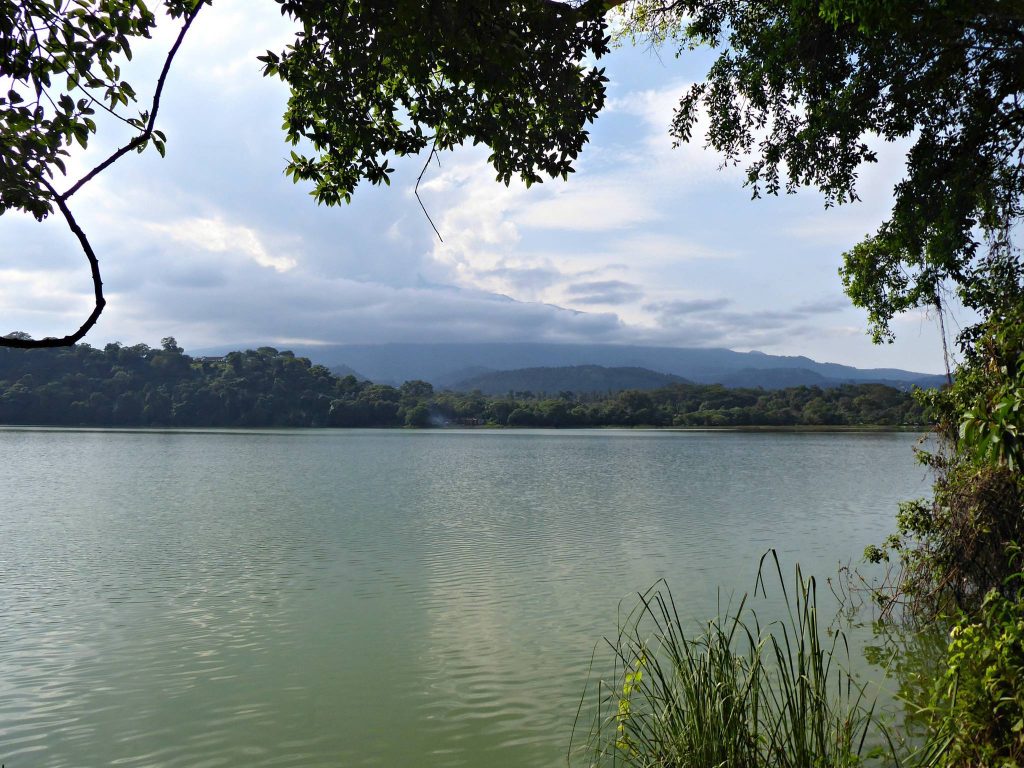 6 Unique Tanzania’s Lakes That You Should Visit While on Safari Holiday