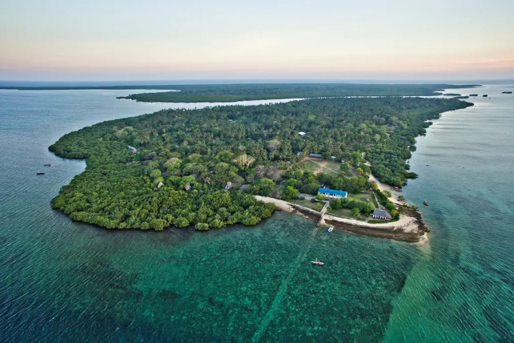 Mafia Island Travel Guide