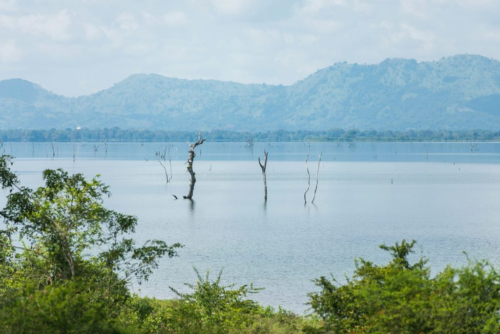 What Should Travelers Know About Tanzania’s Three Great Lakes?