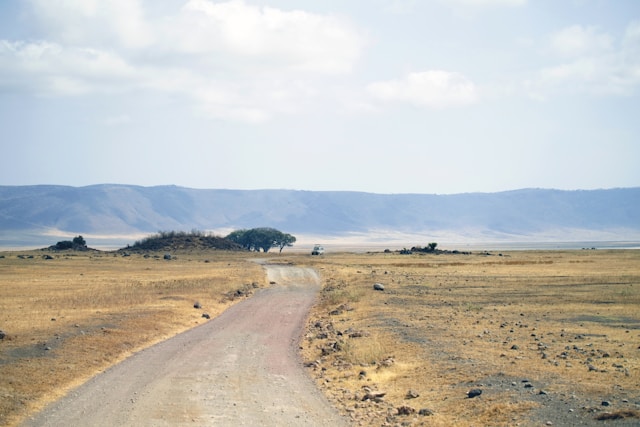 What is the weather like in Tanzania throughout the year?