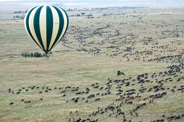What Are the International Airports in Tanzania?