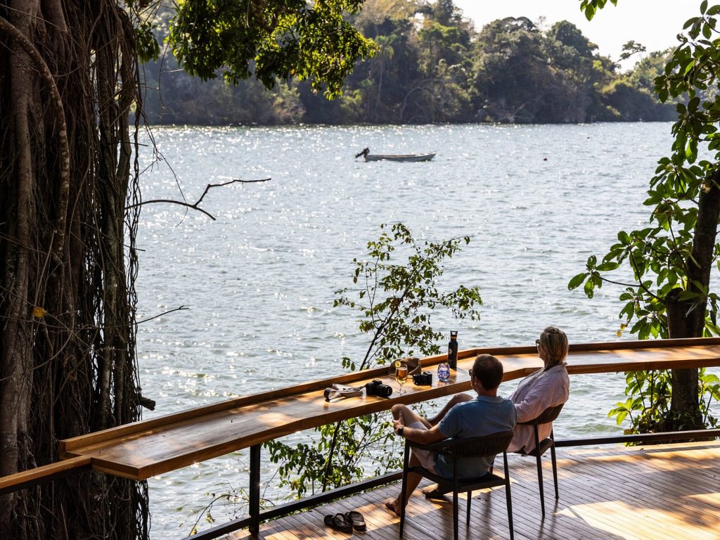 Embark on a Chimpanzee Habituation Adventure in Rubondo Island National Park