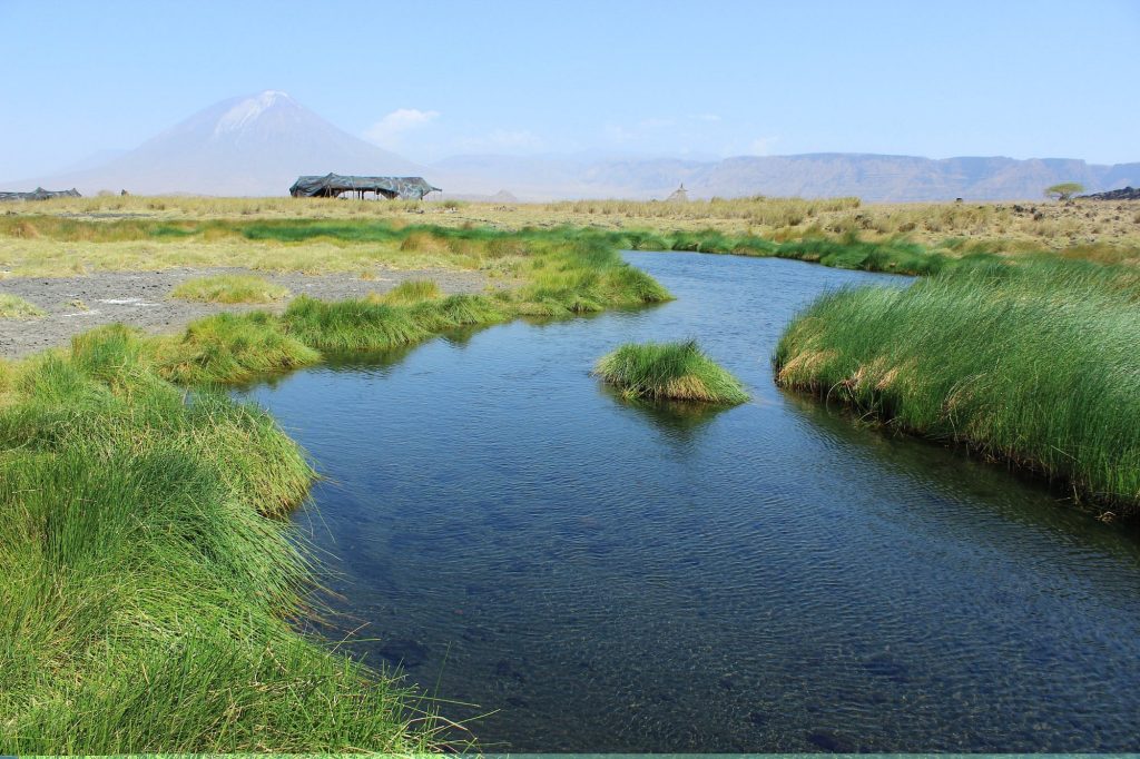 What You Need to Know About Walking Safaris in Tanzania